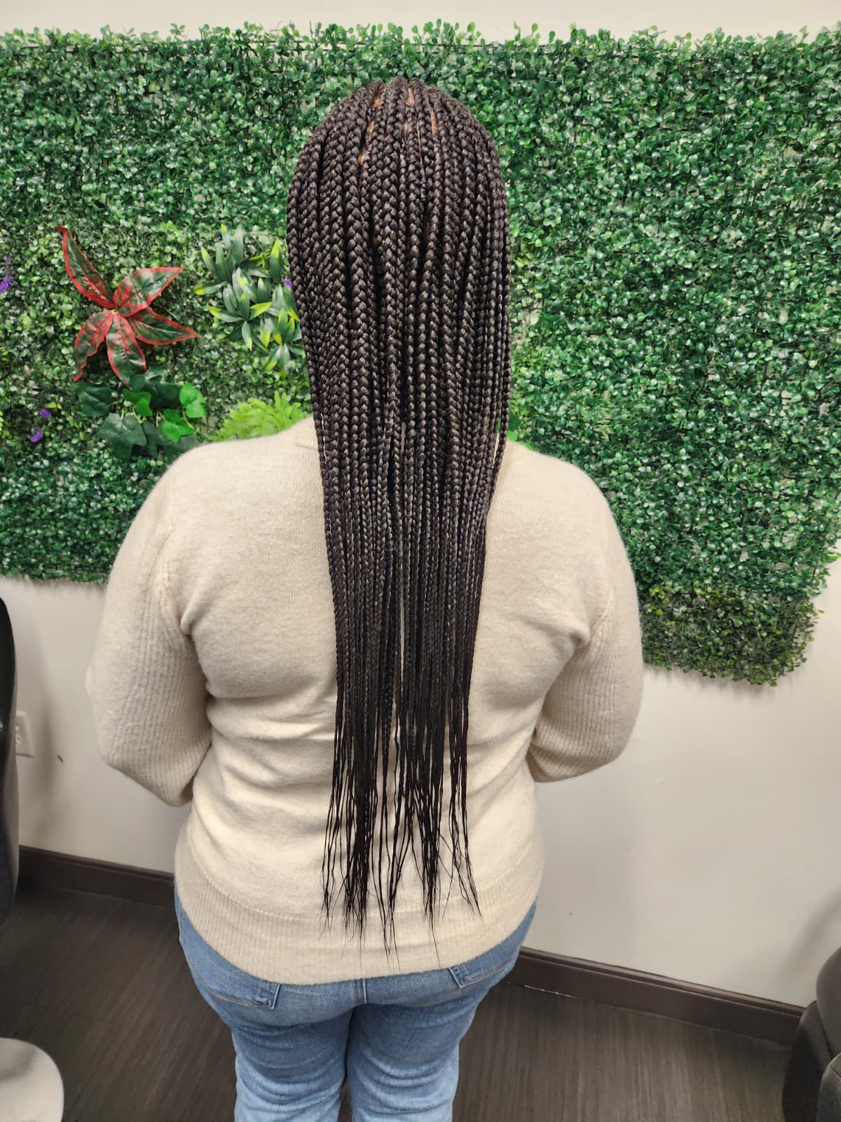 Fulani/Feeding Braids